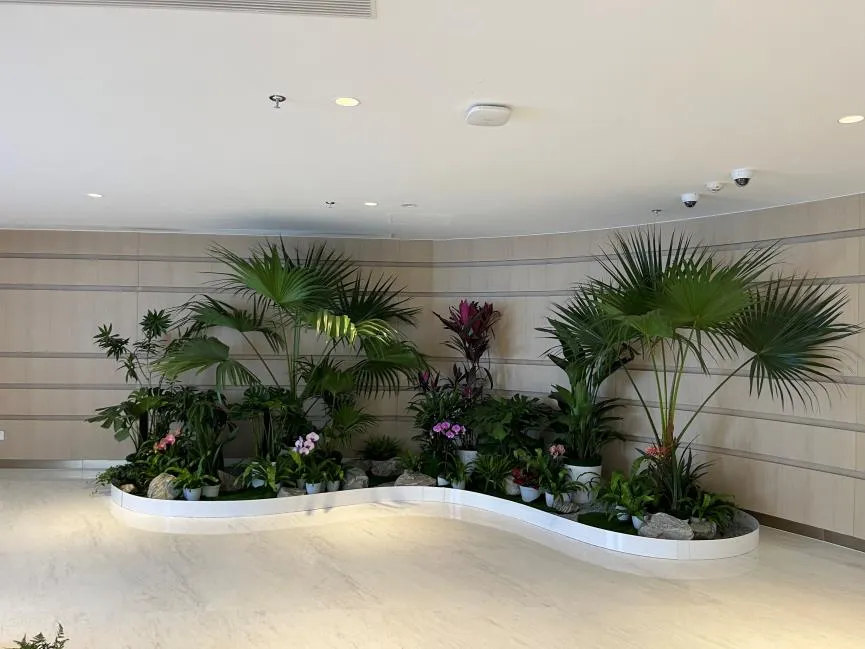 余姚植物租摆，给您的生活增添一抹自然绿